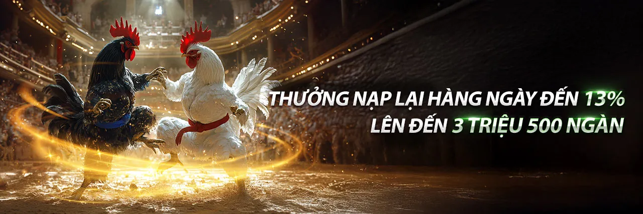 Đấu trường đá gà trực tuyến nn888p