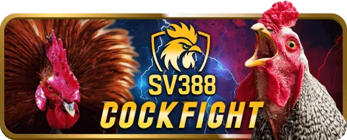 An toàn và bảo mật nn888p